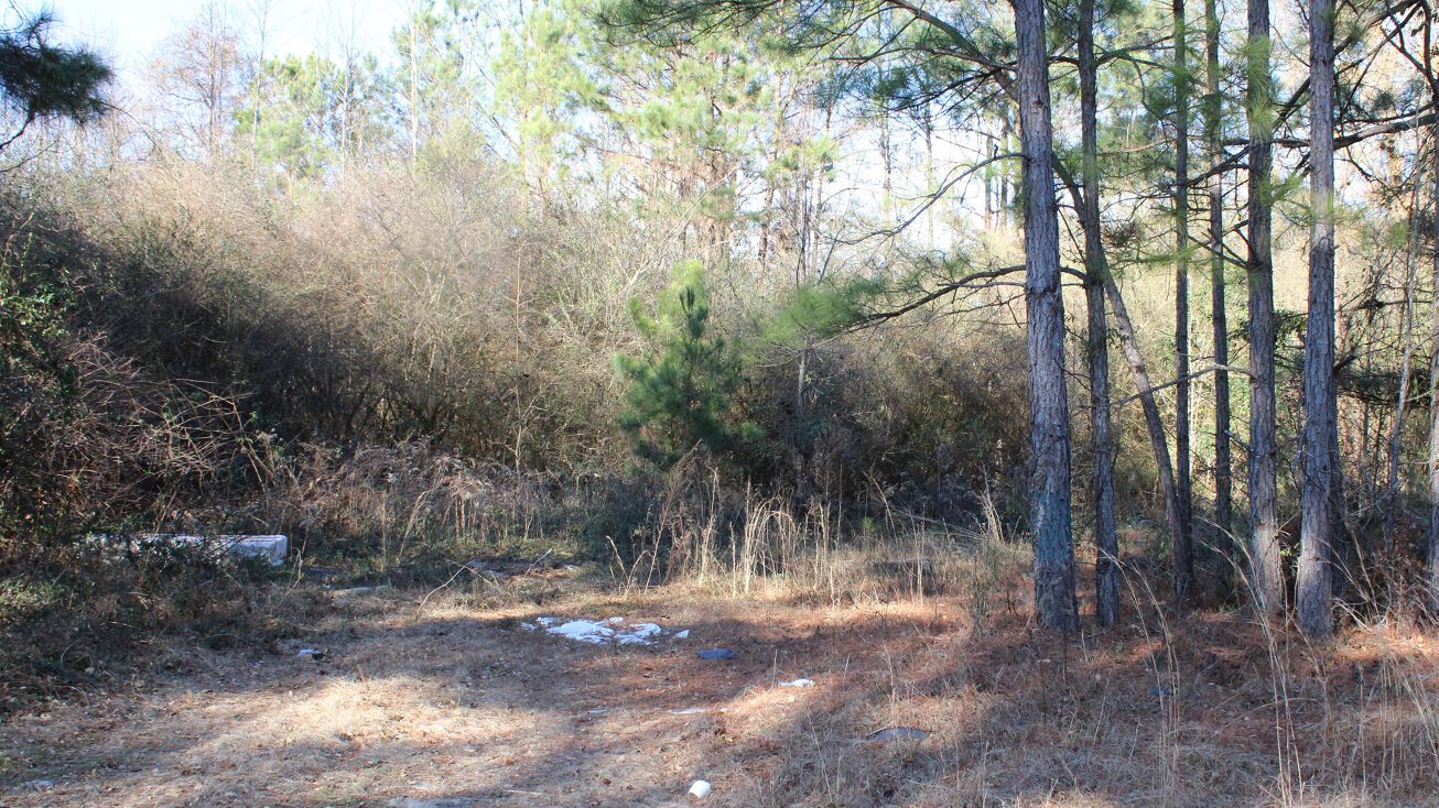 1231 3 Bridge Rd, Dunn, NC 28334