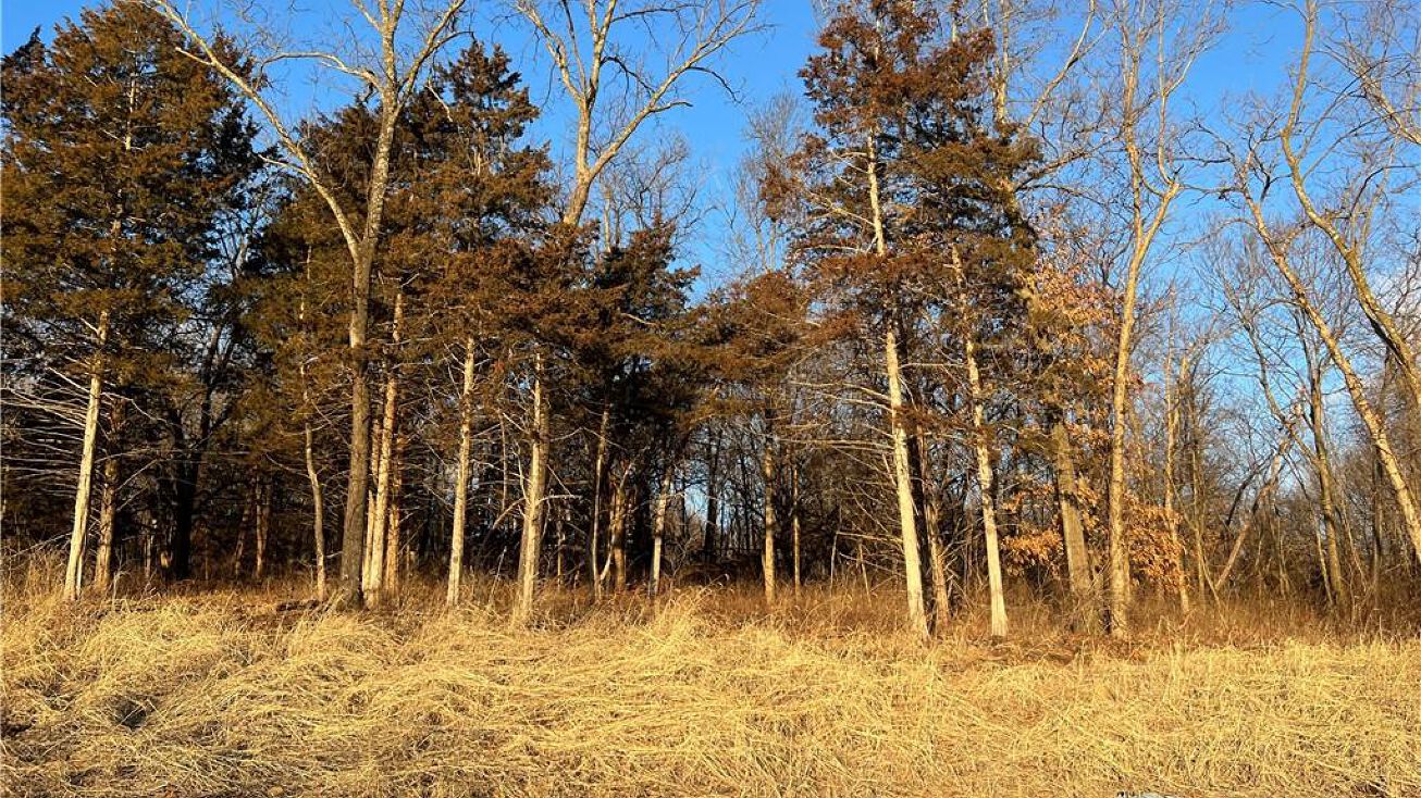 1602 SW Stonewall Drive, Oak Grove, MO 64075