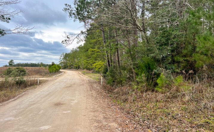 59 Acres T-6 Red Hollow Rd, Leggett, TX 77350 - Land for Sale - 59 ...