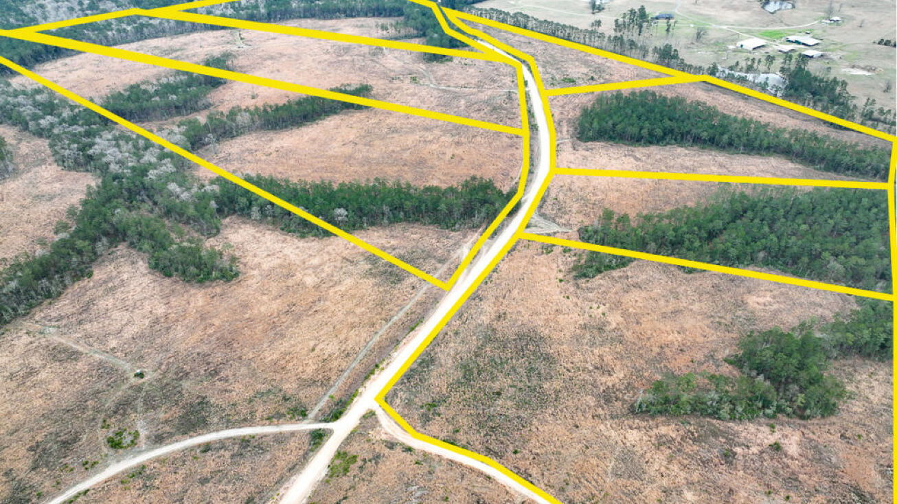 Hardin Hideout Rd, Moscow, TX 75960 Land for Sale 16 Acres Paces Creek T3