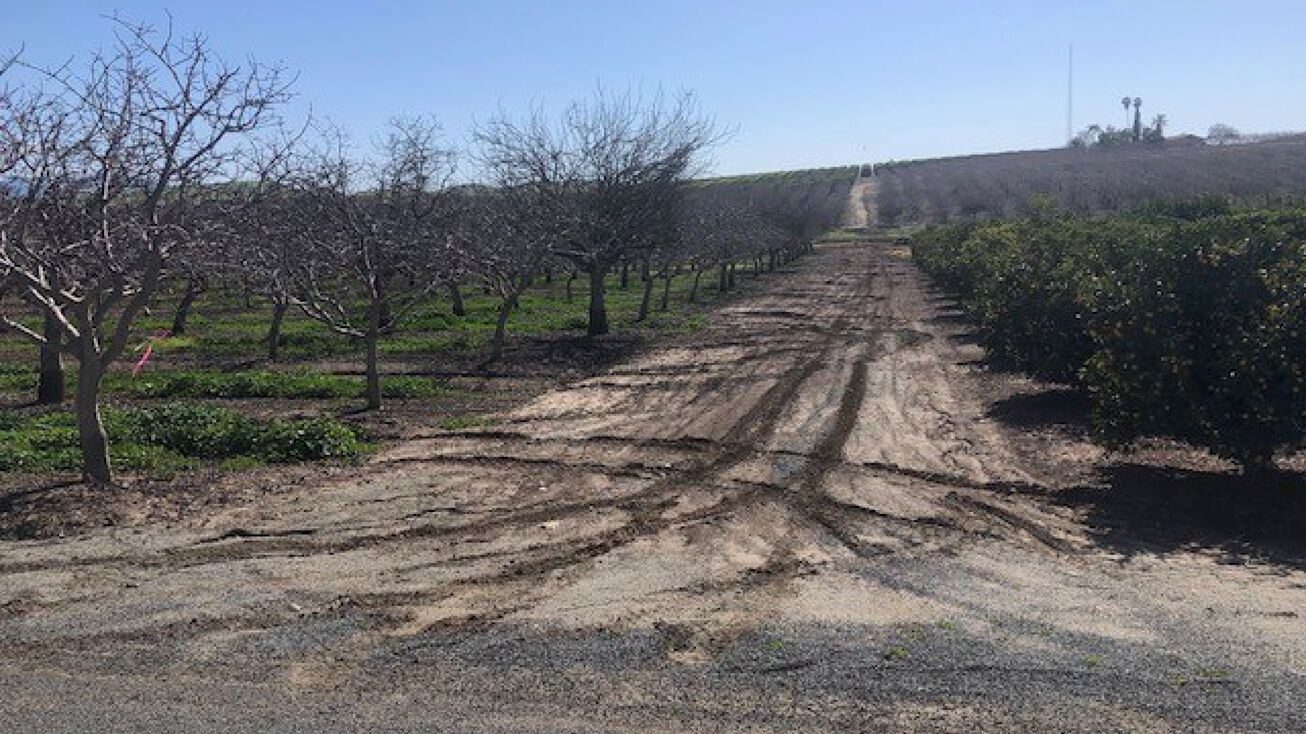 Ave 88, Terra Bella, CA 93270 Land for Sale Avenue 88 Pistachios