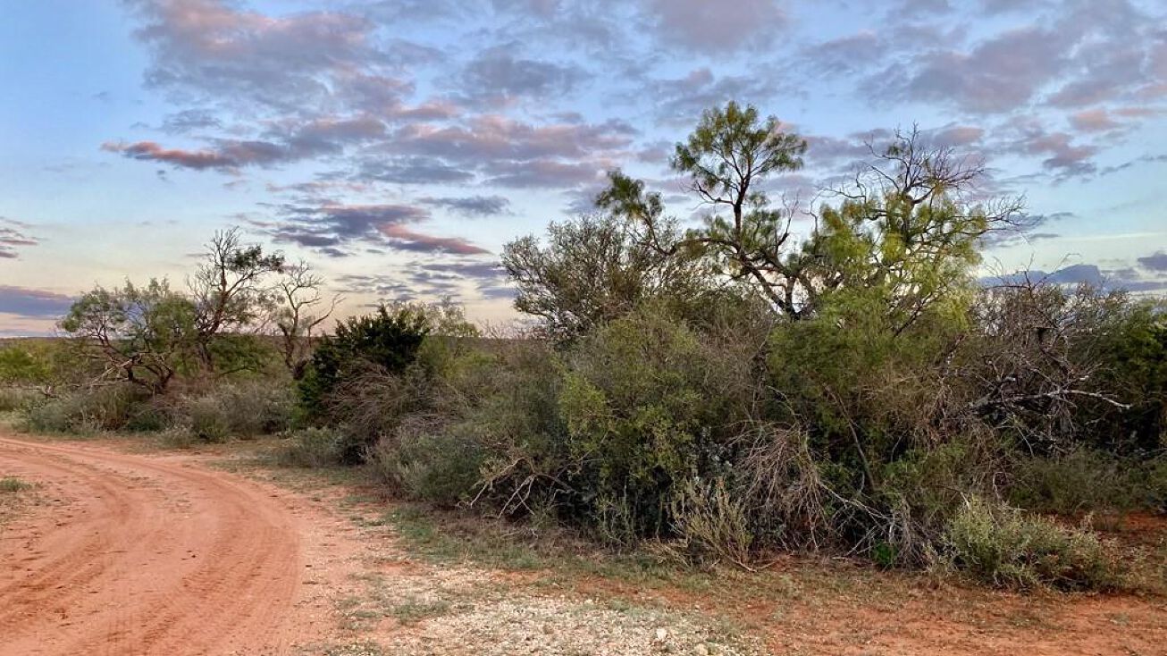 000 Jack Rabbit Rd, Doss, TX 78631, Harper, TX 78631