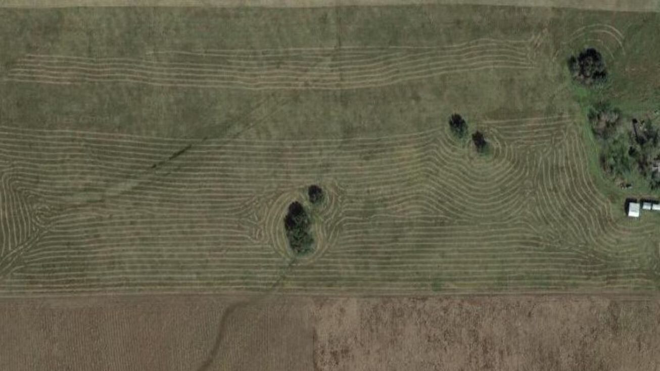 795 Co Rd 421, Danevang, TX 77432