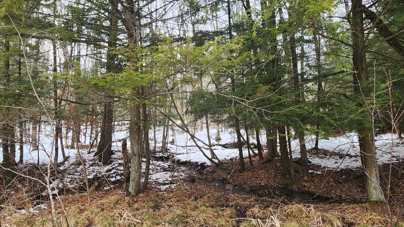 E 7 Mile Rd, Tustin, MI 49688