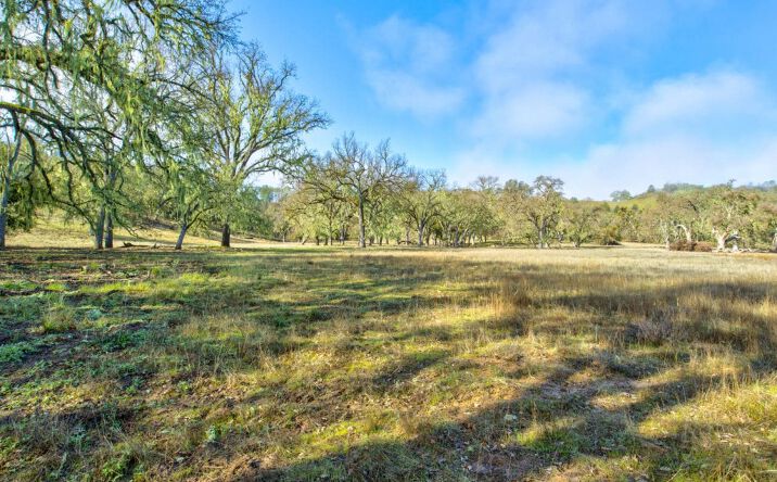 Pictures of Land property located at Lynch Canyon, Bradley, CA 93426 for sales - image #1