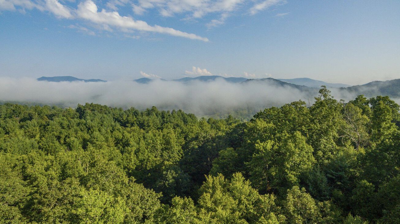 117 Sovereign Ln, Fairview, NC 28730 Land for Sale 1.06 Acres in