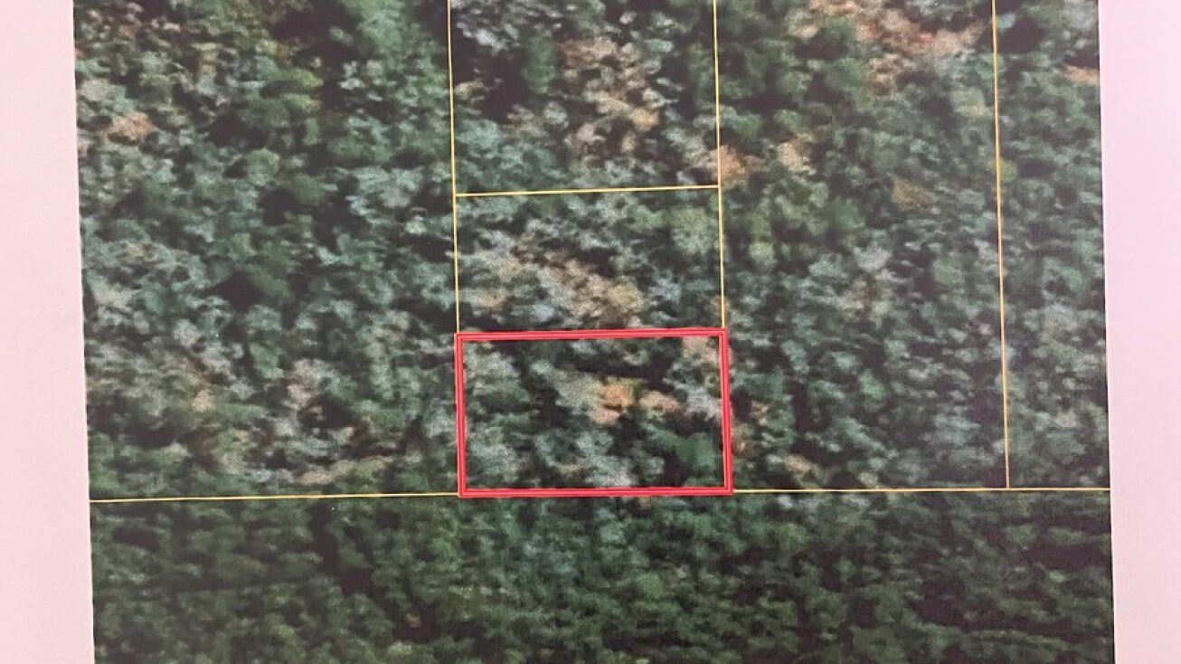 Mulberry Rd, Brantley, AL 36009 Land for Sale Mulberry (23028)