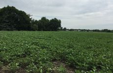 14102553