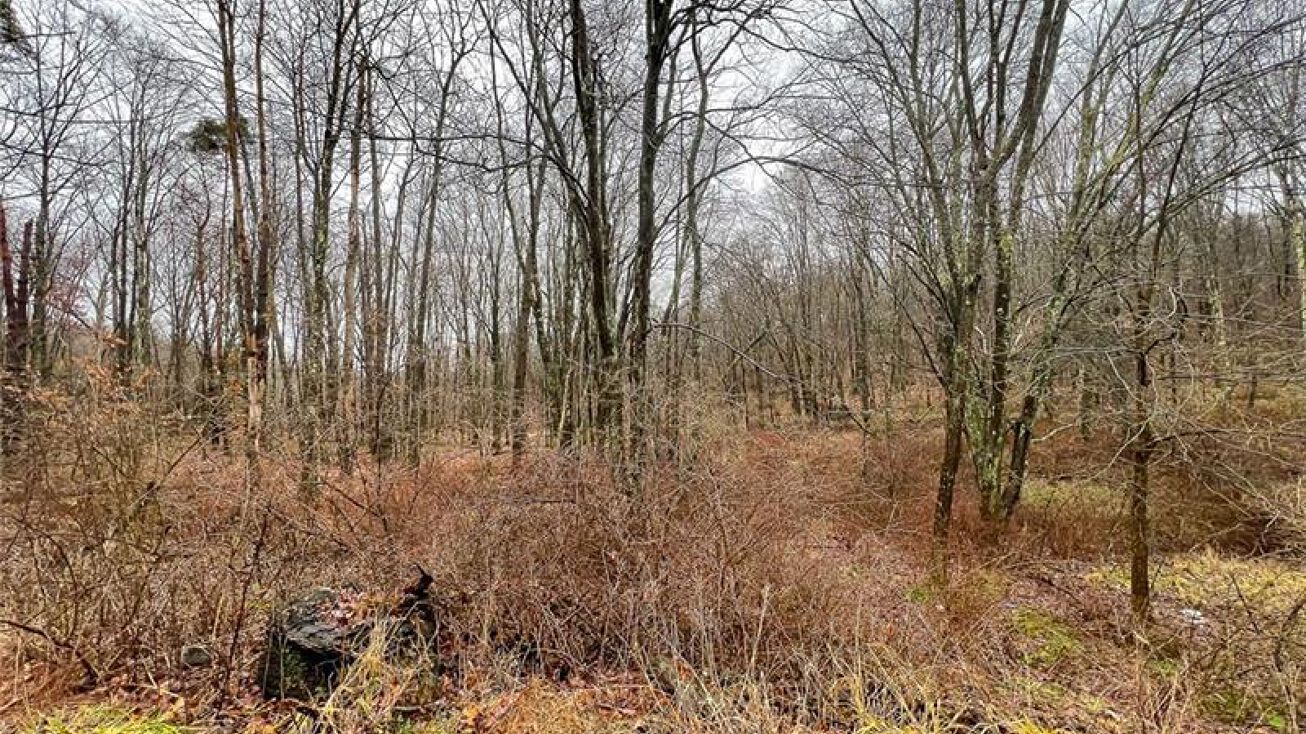 0000 Medical Center Rd, Chicora, PA 16025 Land for Sale 0000