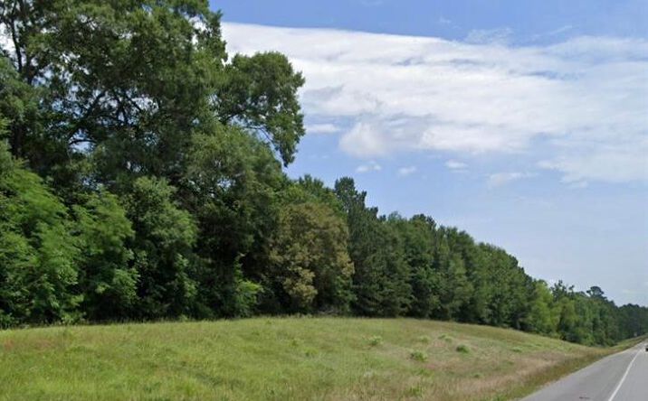 Pictures of Land property located at 00 Tbd N Us Hwy 59, Livingston, TX 77351 for sales - image #1