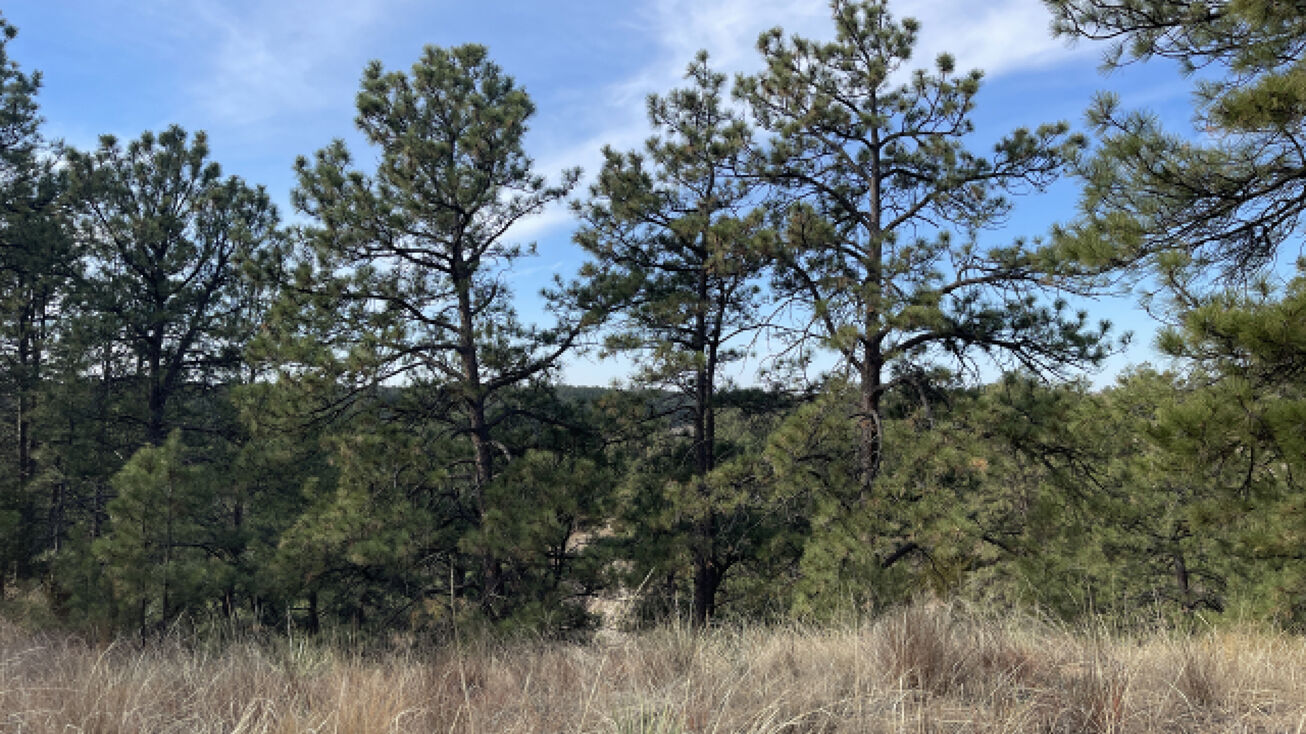 75+/Acres Fish Hatchery Rd, Valentine, NE 69201