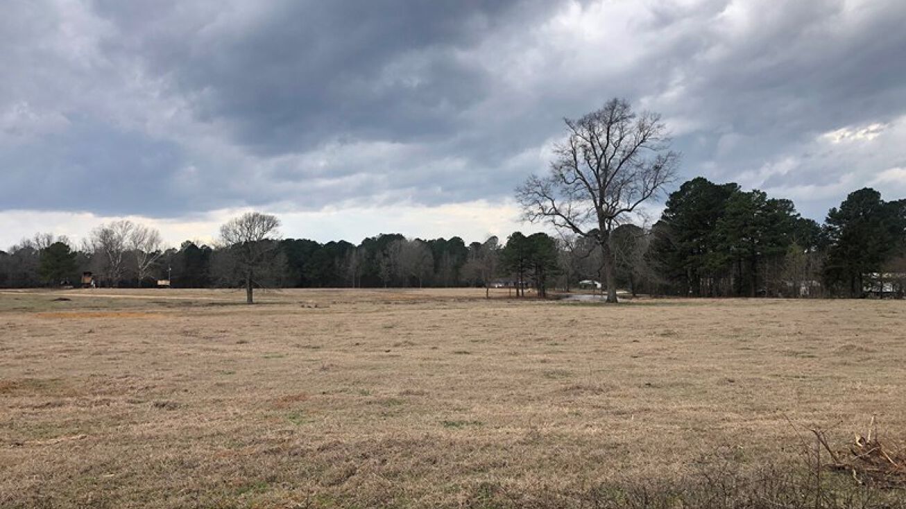 TBD FM 2328, Atlanta, TX 75551