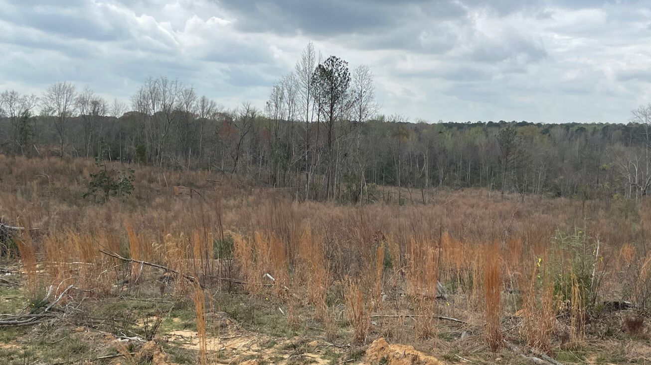 1100 Dryer Ln, Tuskegee, AL 36083 Land for Sale Tuskegee 300 (23029)