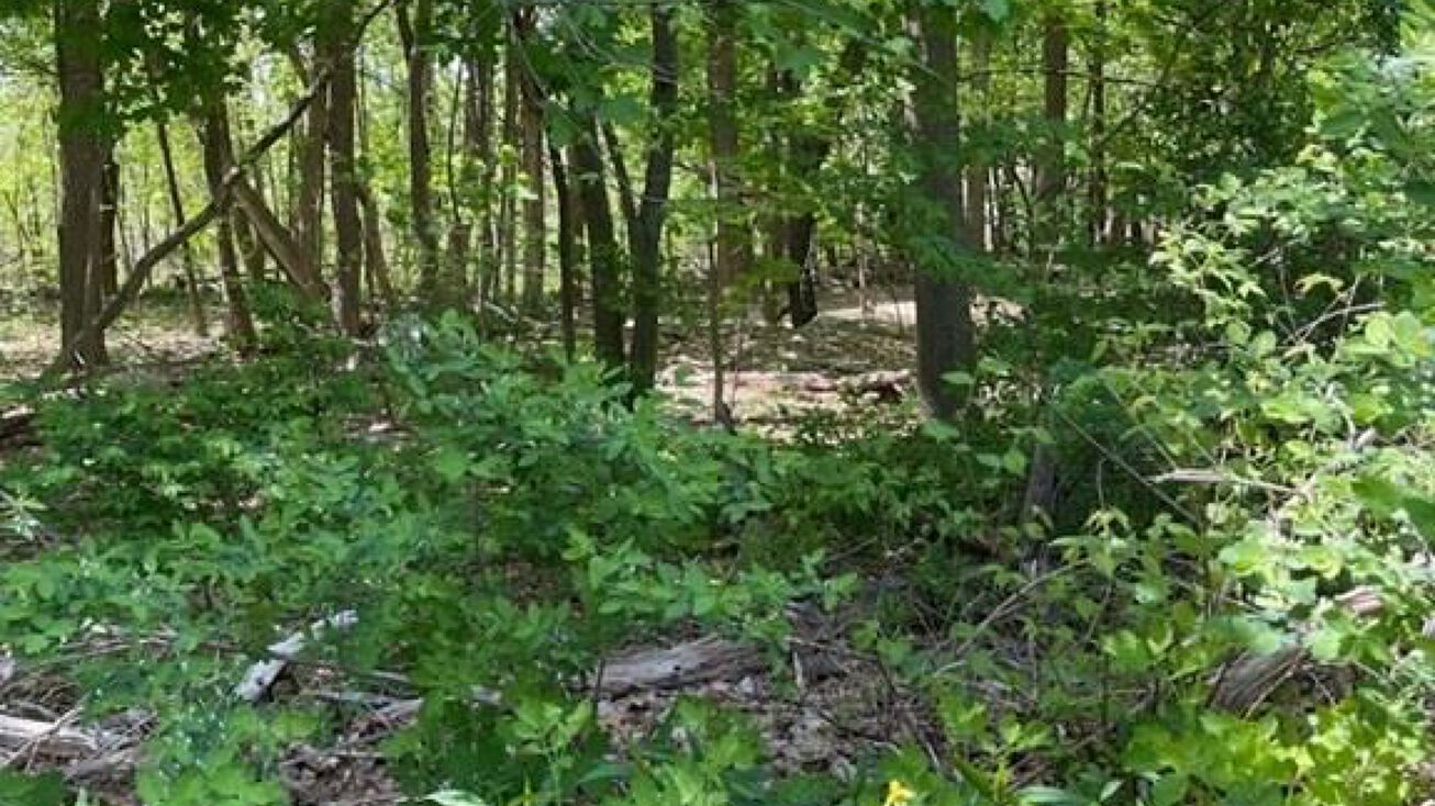 Lot A Alton Ave, Haverhill, MA 01835