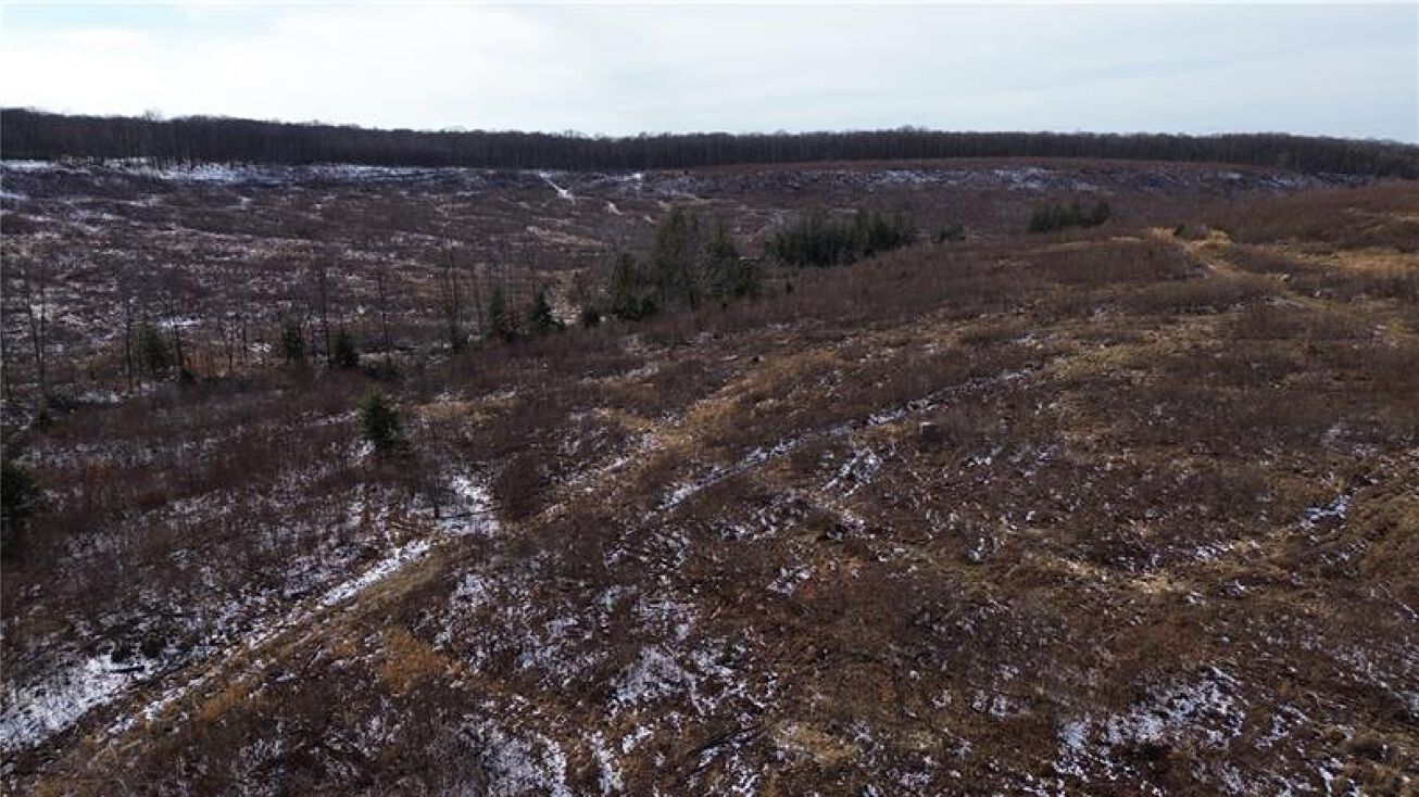 000 Camerons Road Brush Valley, Homer City, PA 15748