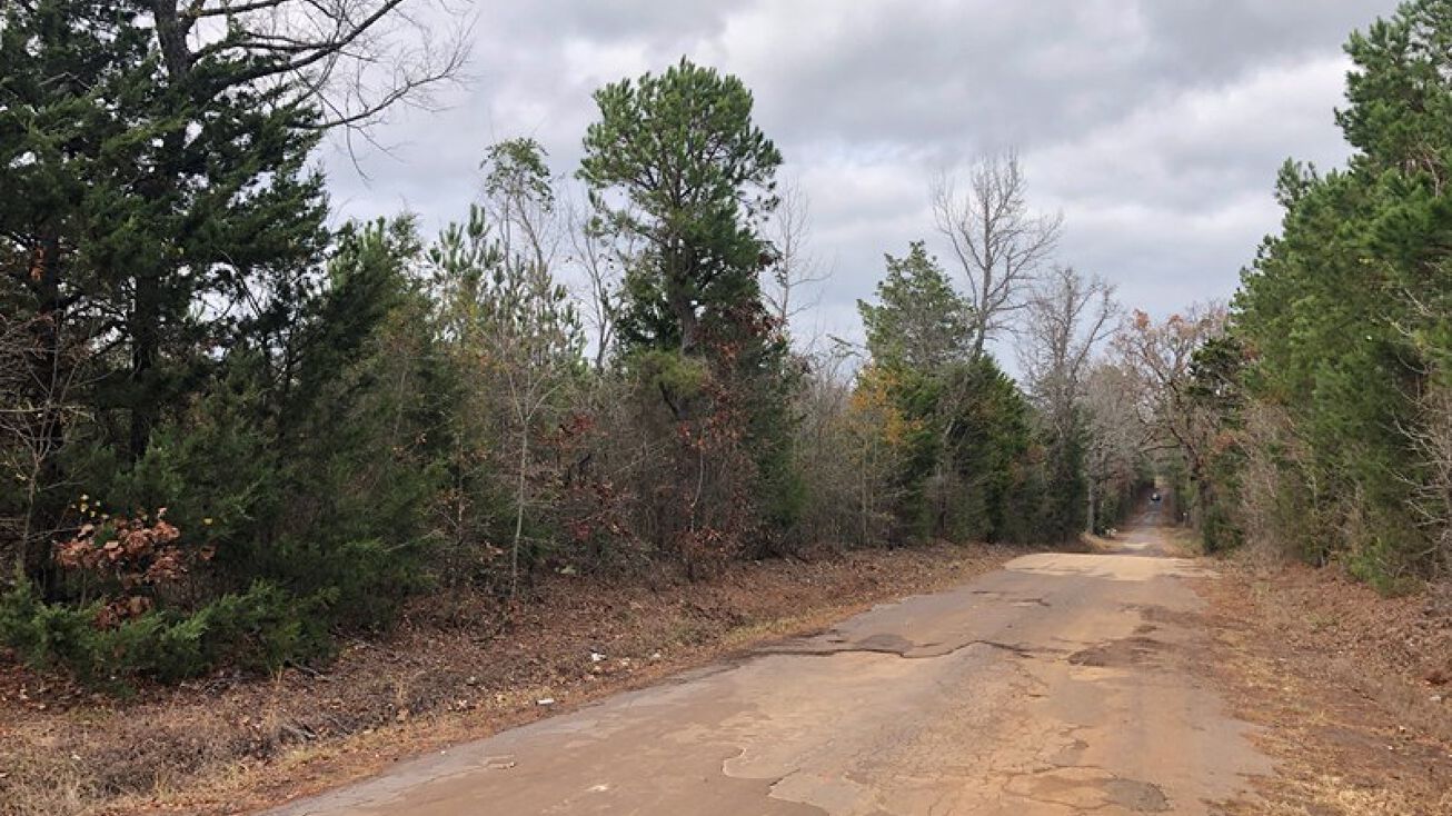 TBD CR 1110 Tract 3, Atlanta, TX 75551 Land for Sale Rural East