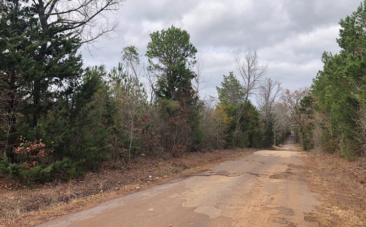TBD CR 1110 Tract 3, Atlanta, TX 75551 - Land for Sale - Rural East ...