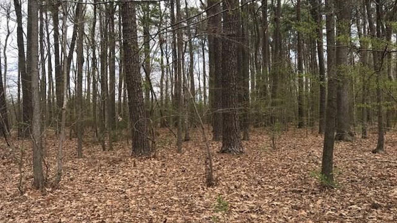 Lot 12 Dryridge Road, Elizabeth City, NC 27909