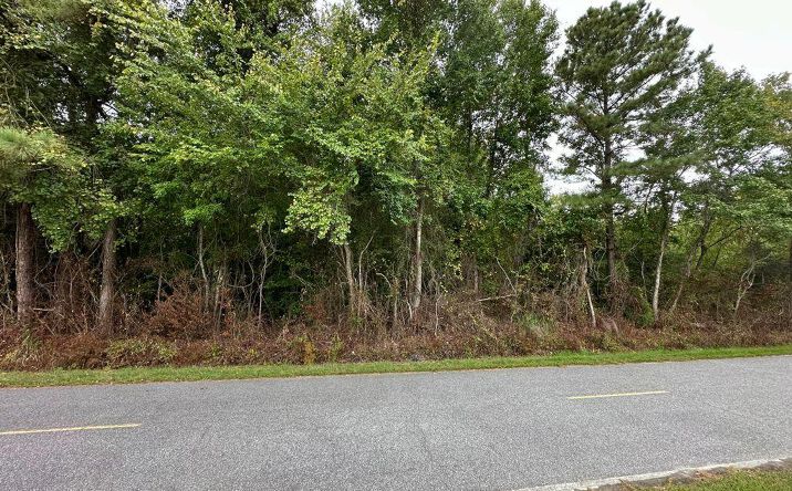 Pictures of Land property located at Lot 77 Crocker Hill Road, Elizabeth, NC 27909 for sales - image #1