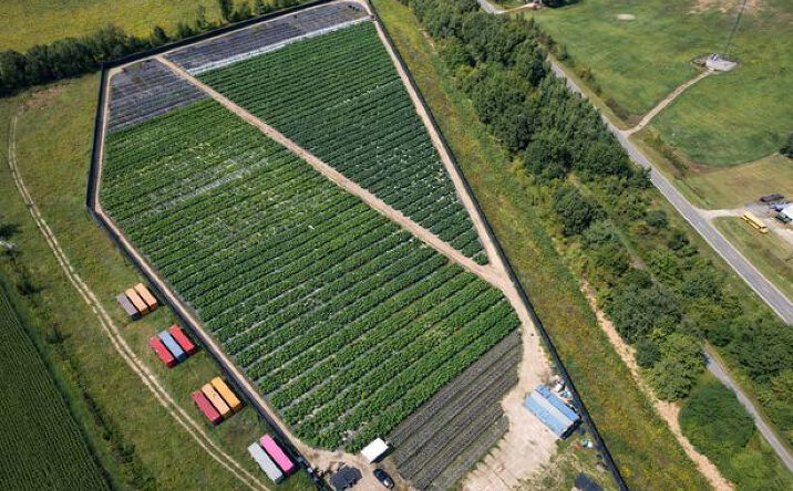 Pictures of Land property located at 8505 E Isabella County Line Rd, Coleman, MI 48618 for sales - image #1