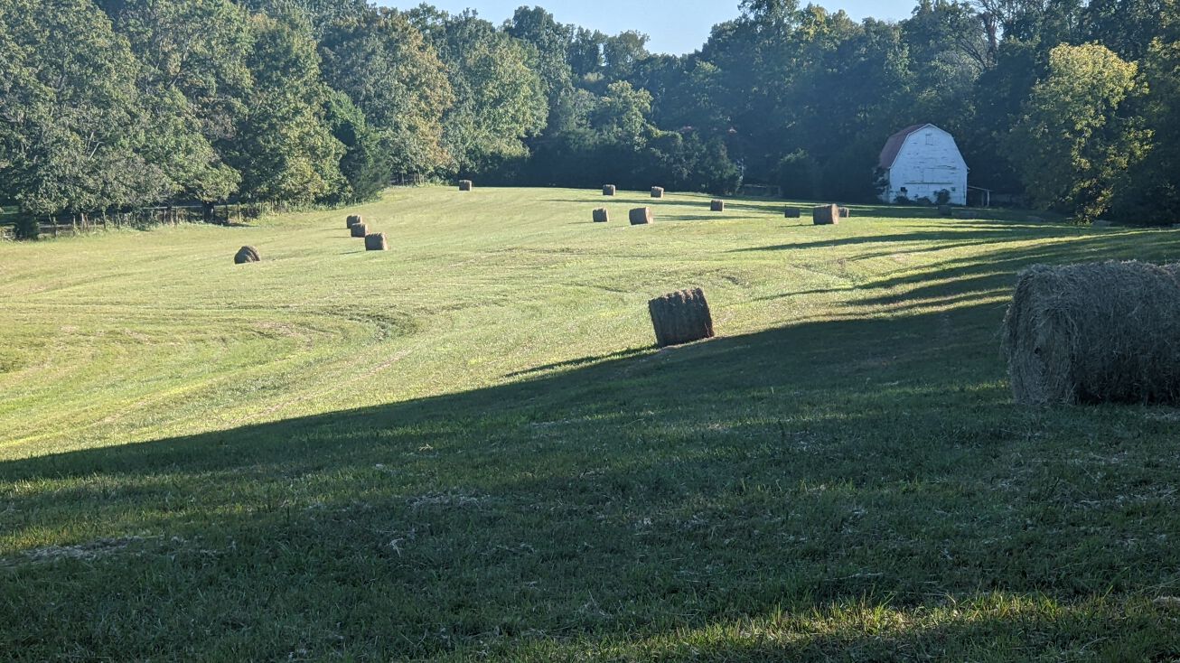 Conrad Rd, Lewisville, NC 27023 Land for Sale 000 Conrad Road