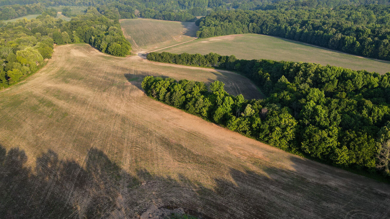 14185 Rd, Harvest, AL 35749