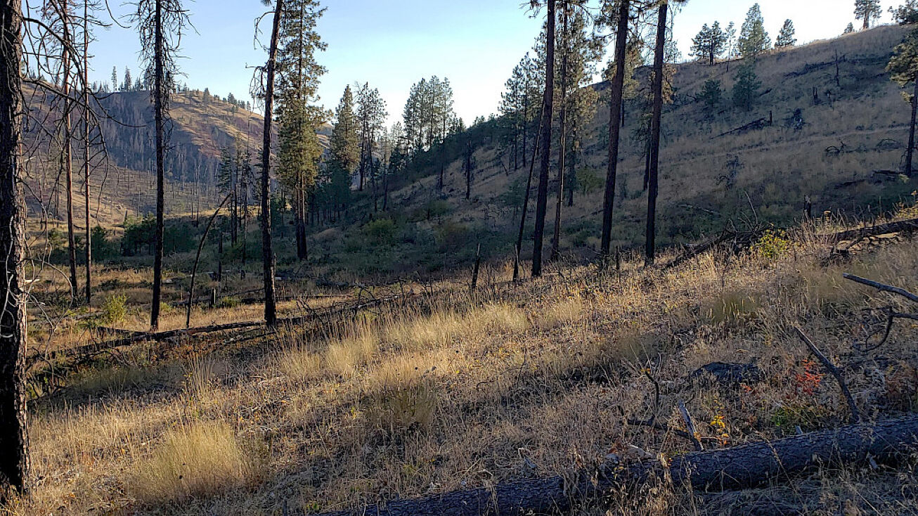 604X Carpenter Rd, Fruitland, WA 99129