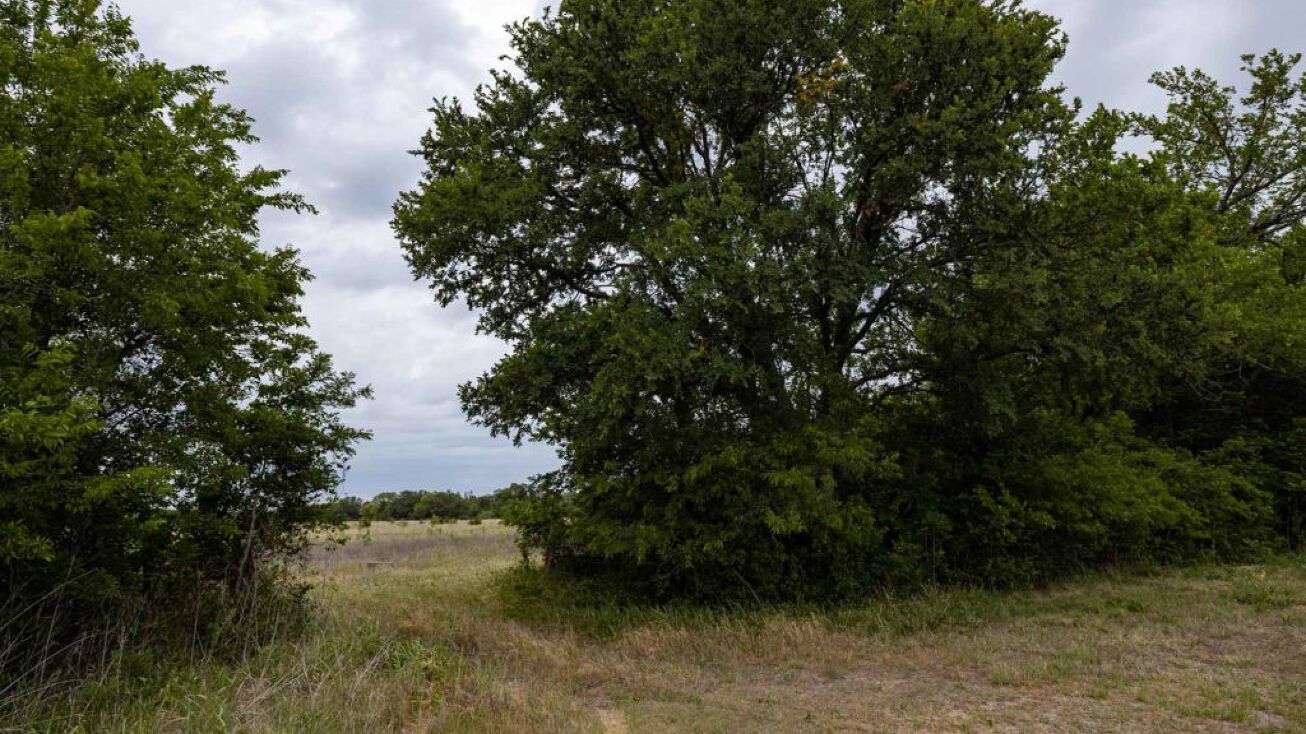 TBD County Road 330A, Bertram, TX 78605