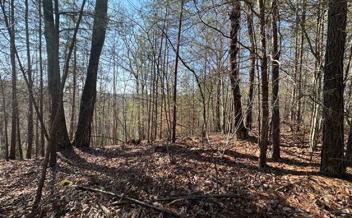 Pictures of Land property located at Ward Ridge Rd, Jasper, GA 30143 for sales - image #1