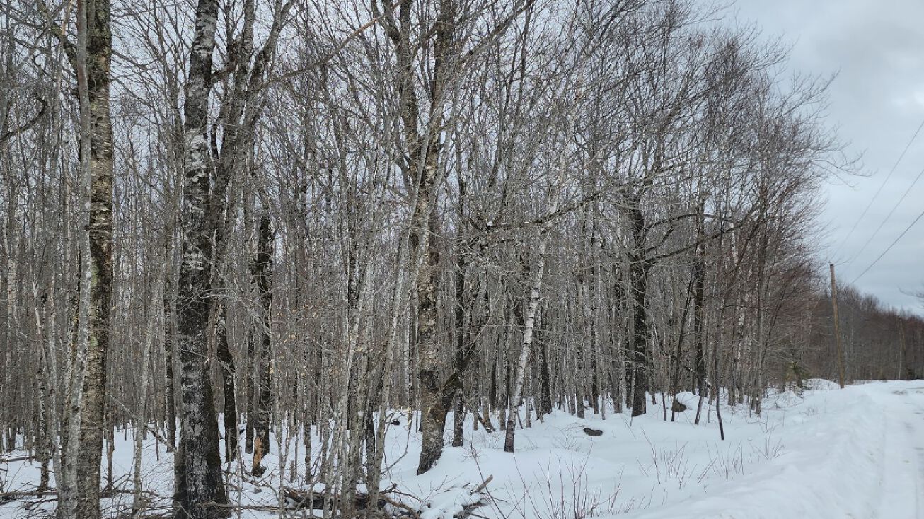 Lower Rd, Deblois, ME 04622