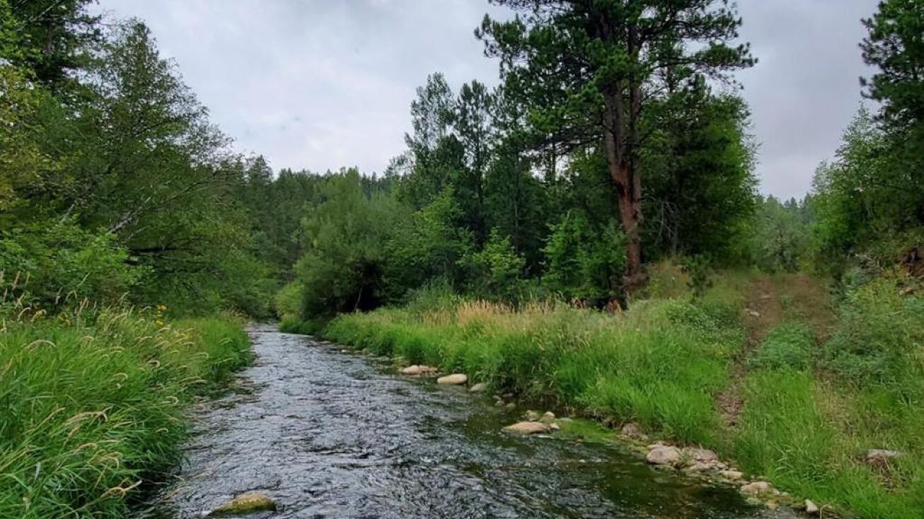 11943 Crook City Rd, Whitewood, SD 57793