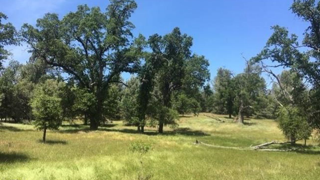 Ferretti Rd, Groveland, CA 95321