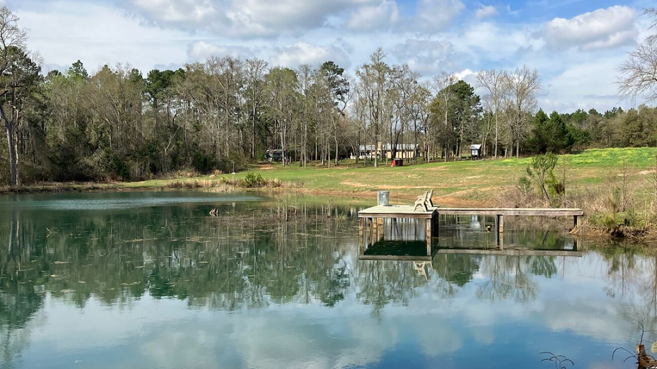 596 Cranford Rd, Cairo, GA 39828 Land for Sale "Serenity" 50+/ AC