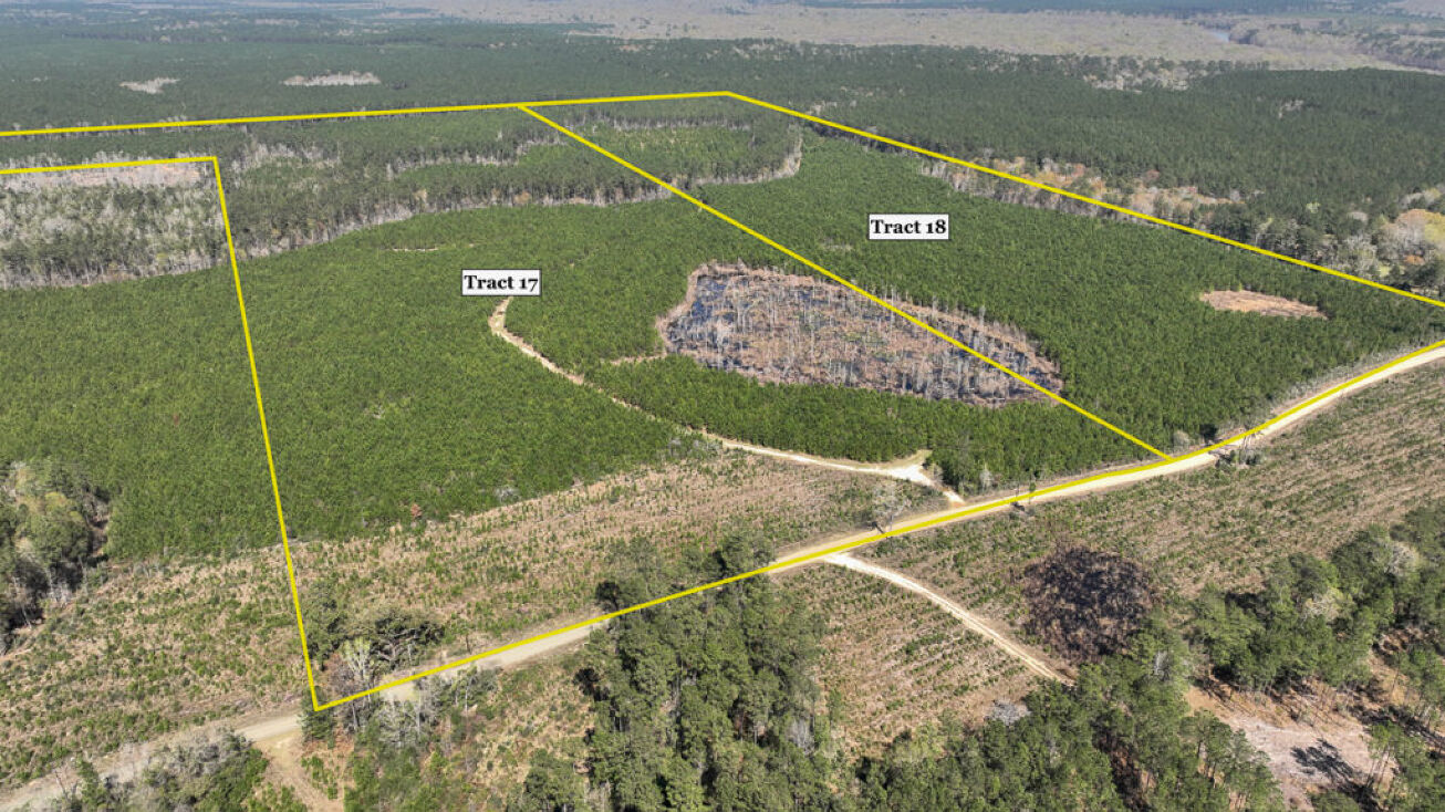 Co Rd 4415, Spurger, TX 75979 Land for Sale 100 acres T17