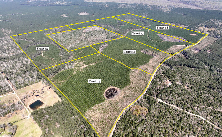 Pictures of Land property located at Land, Tyler County County Road 4415, Spurger, TX 77660 for sales - image #1