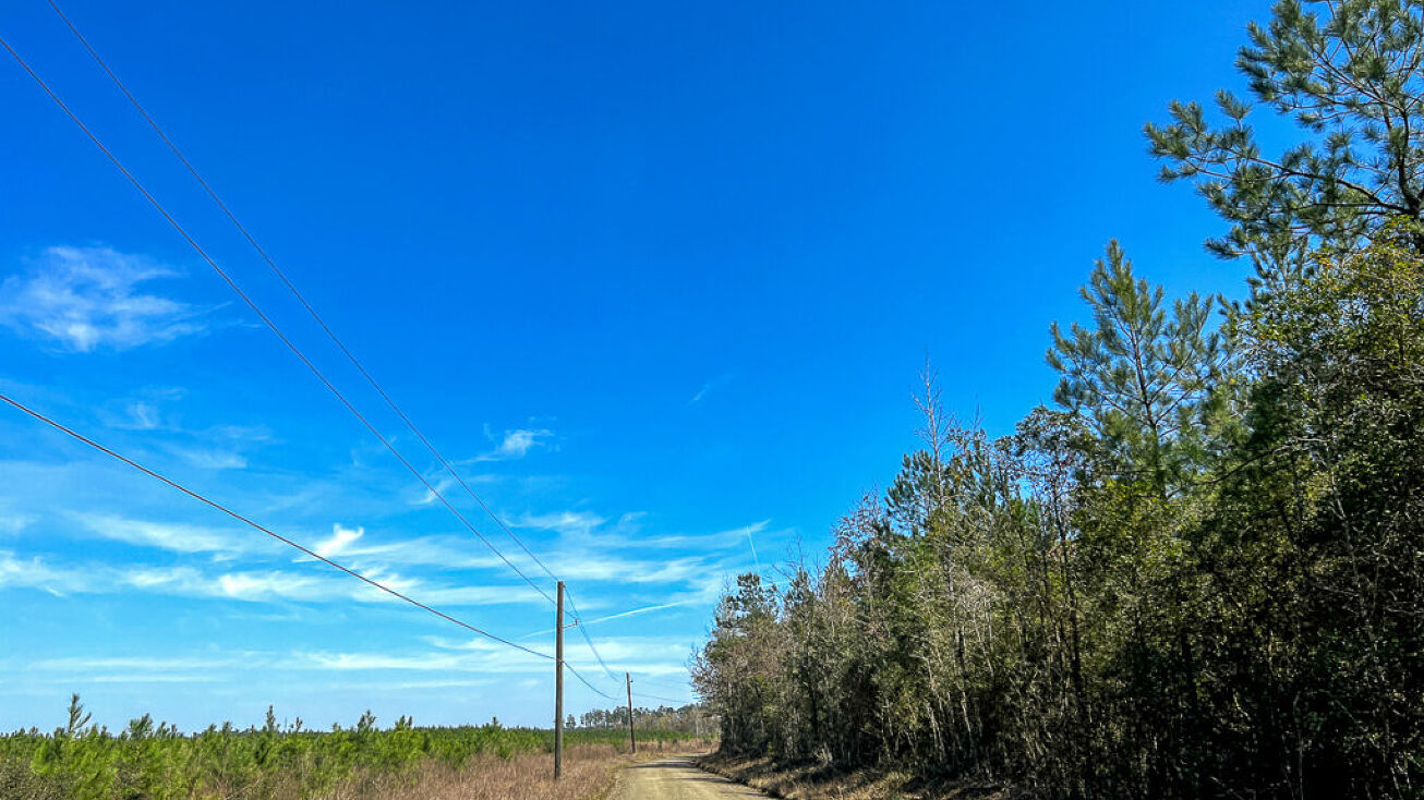 Land, Tyler County County Road 4415, Spurger, TX 77660 Land for Sale