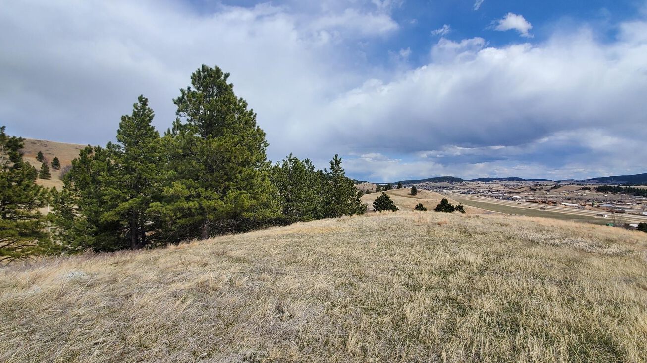 3977 Twisted Oak Road, Sturgis, SD 57785