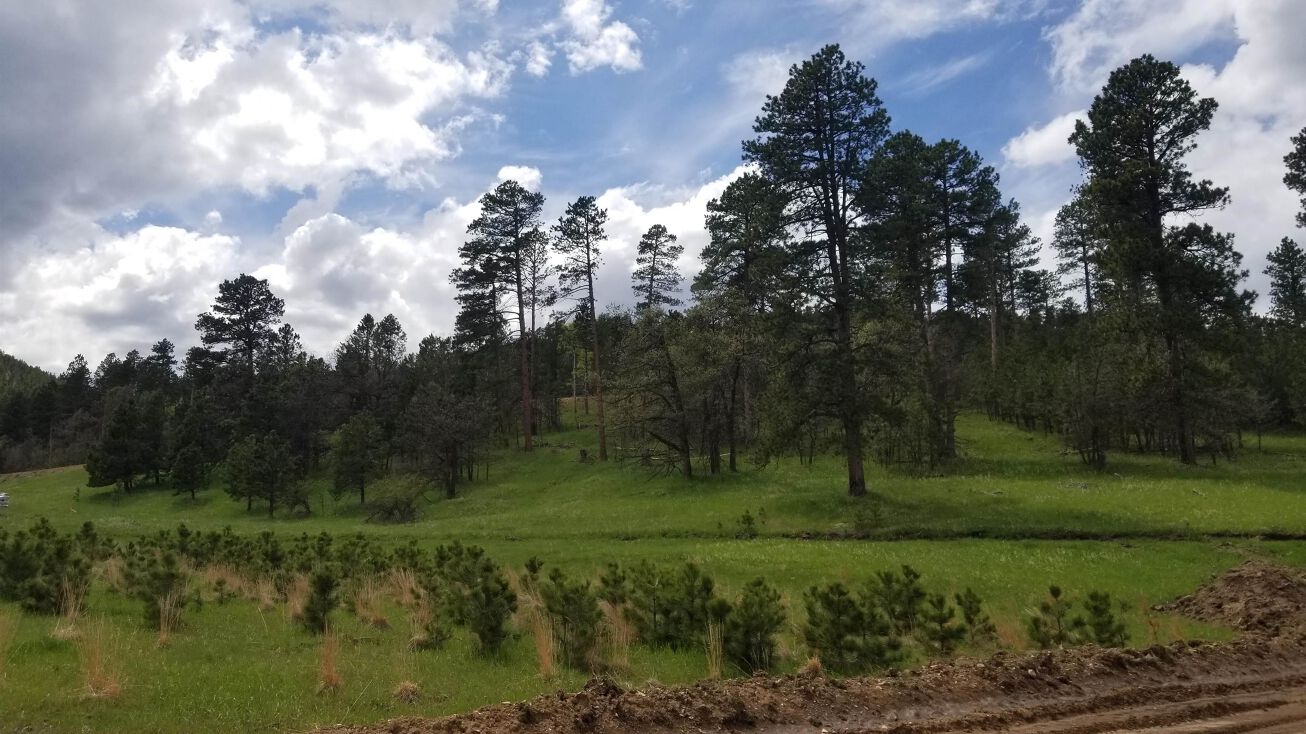 Lot 24, Block 1, Deadwood, SD 57732 Land for Sale Lot 24, Block 1