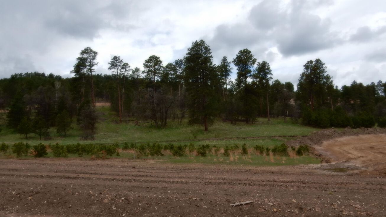 Lot 23, Block 1, Deadwood, SD 57732 Land for Sale Lot 23, Block 1