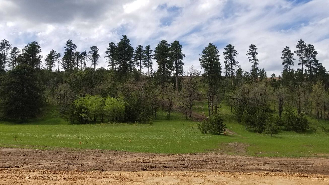Lot 50, Block 1, Deadwood, SD 57732