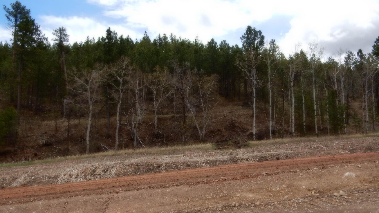 Lot 11, Block 1, Deadwood, Deadwood, SD 57732