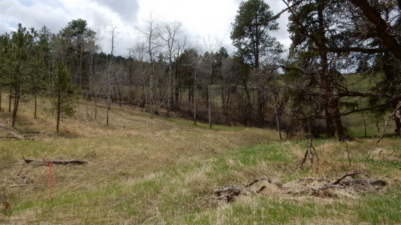 Lot 5, Block 1, Deadwood, Deadwood, SD 57732