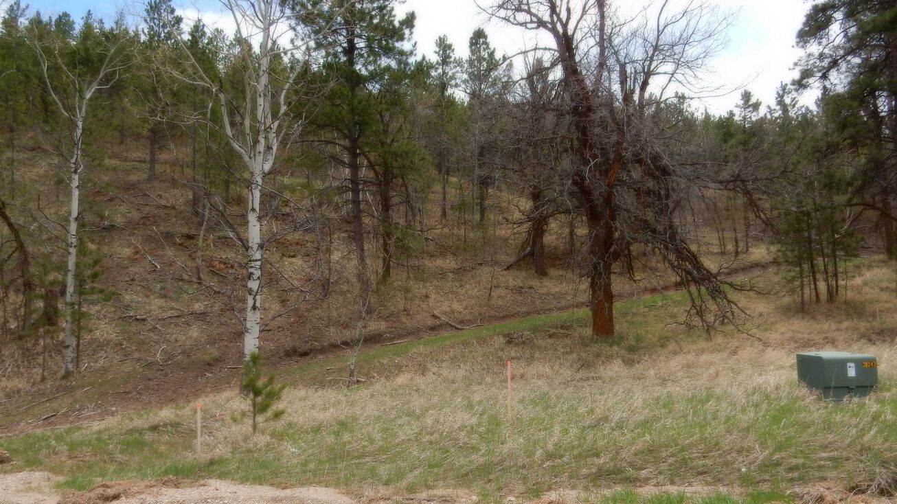 Lot 10, Block 1, Deadwood, Deadwood, SD 57732