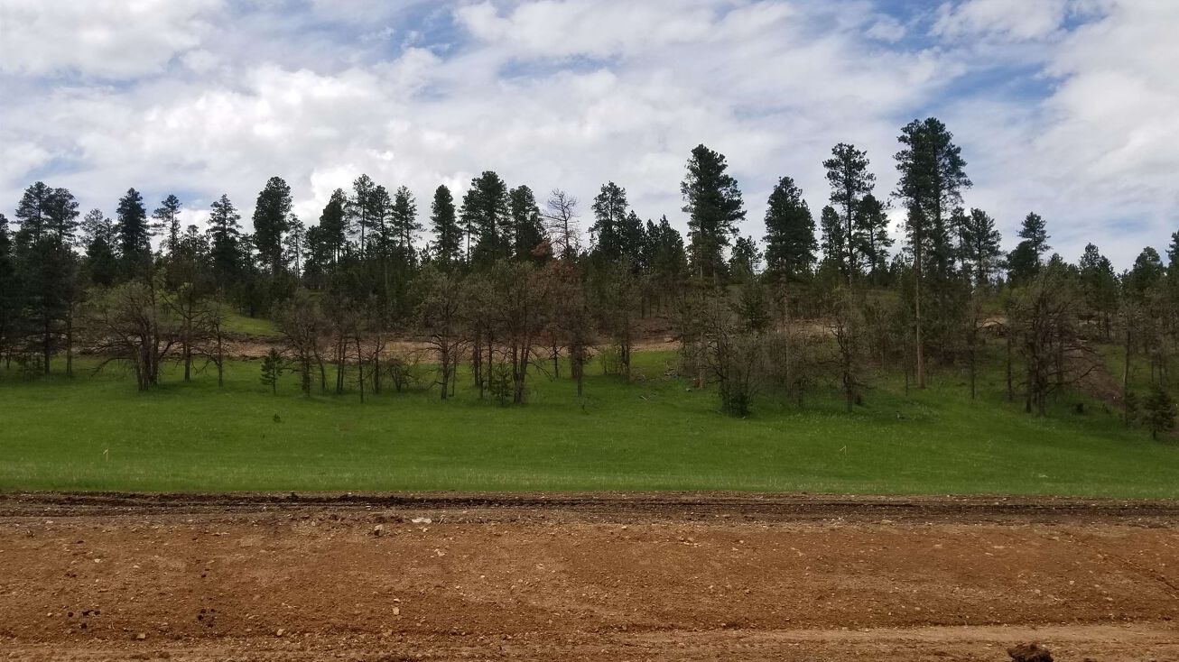 Lot 31, Block 1, Deadwood, SD 57732