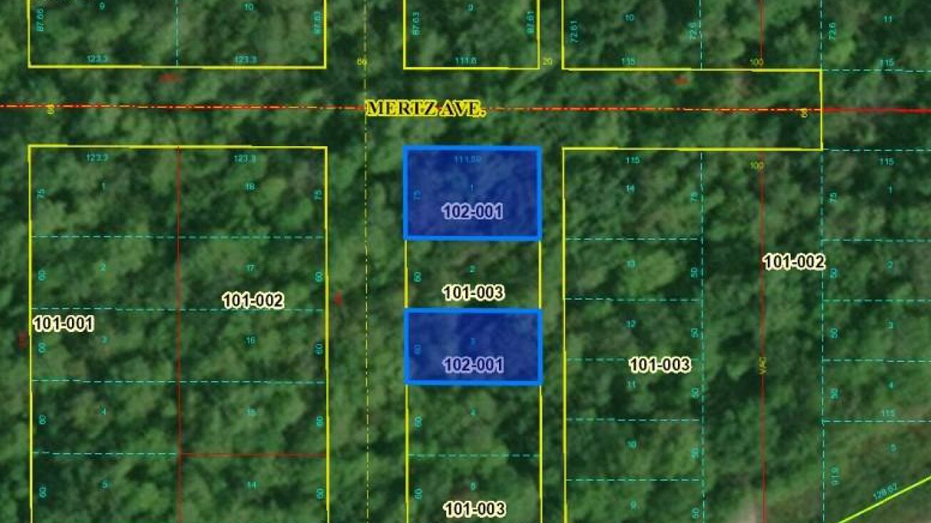 Lake Shore, Beverly Shores, IN 46301 Land for Sale Lake Shore