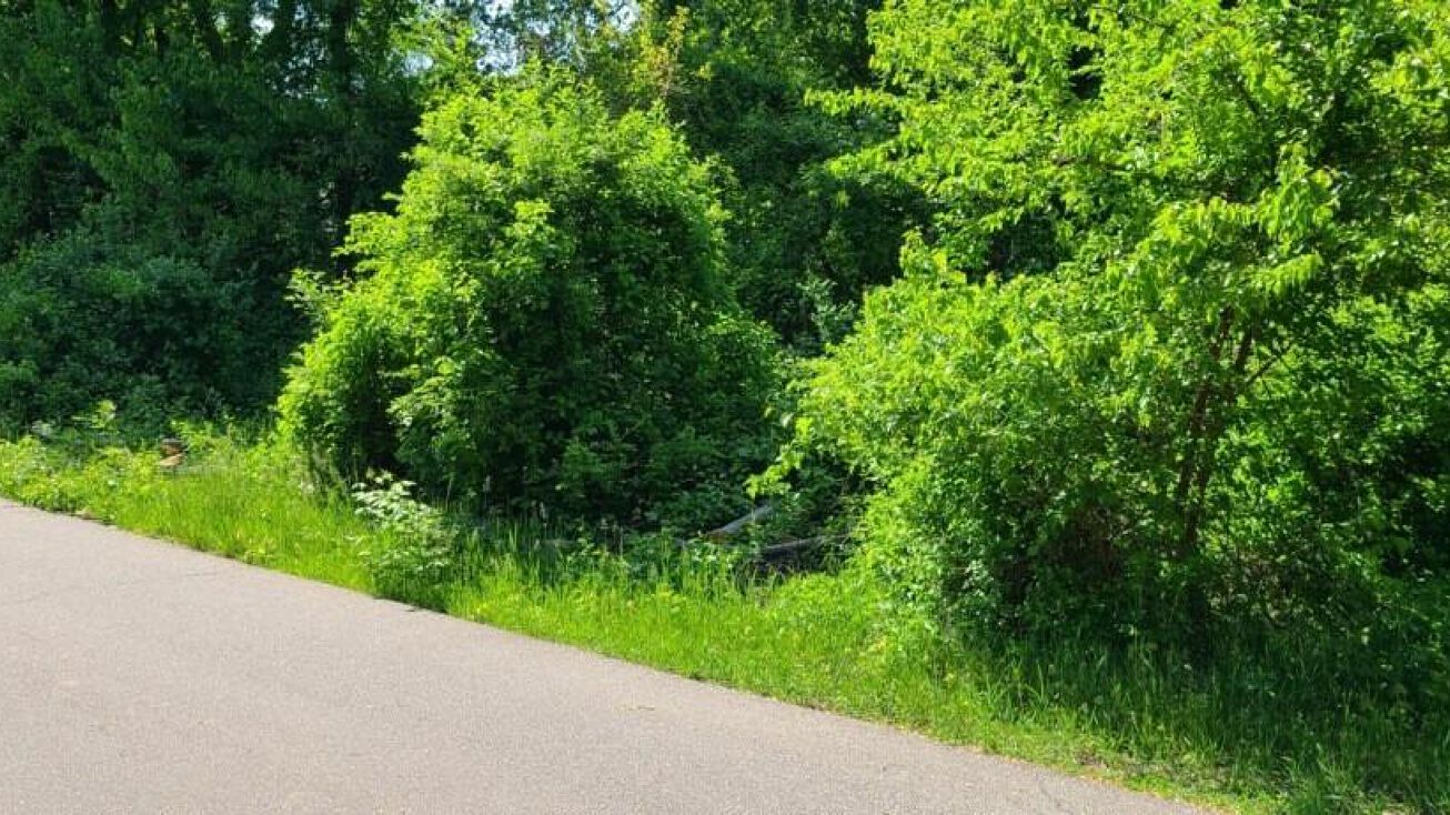 Broadway, Beverly Shores, IN 46304 Land for Sale Broadway