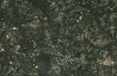 33745955