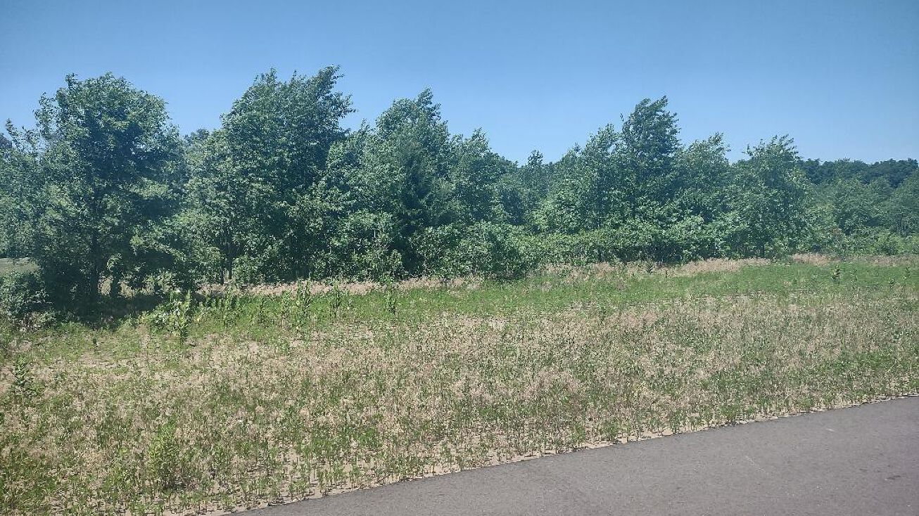 4232 Woodcrest Dr, Wheatfield, IN 46392