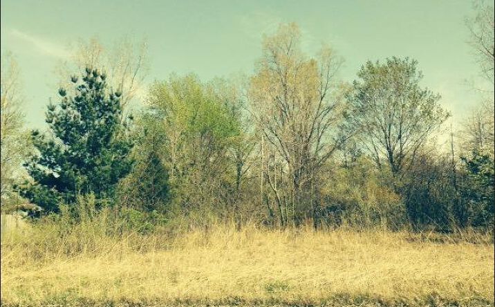 Pictures of Land property located at Springland Ave, Michigan City, IN 46360 for sales - image #1