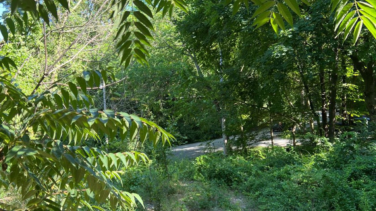 20 Hillcrest Rd, Ogden Dunes, IN 46368 Land for Sale 20 Hillcrest Rd